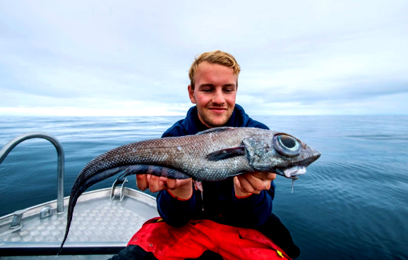 CHIMERA NORWAY FISH