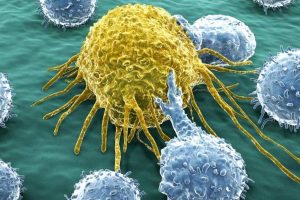Scientists manage to cure bladder cancer with the common cold virus