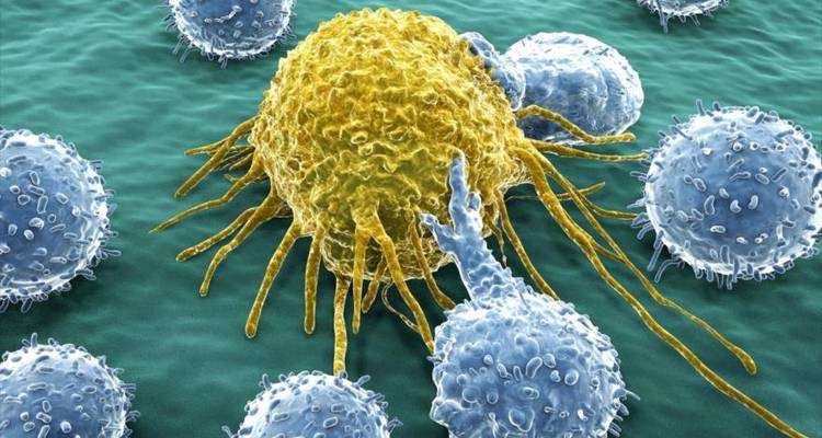 Scientists manage to cure bladder cancer with the common cold virus