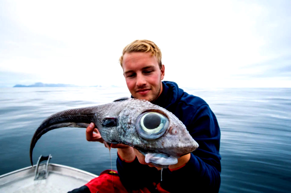They capture a rare and mysterious Prehistoric Fish in Norway