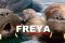 FREYA