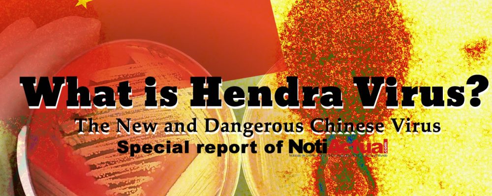What is Hendra Virus