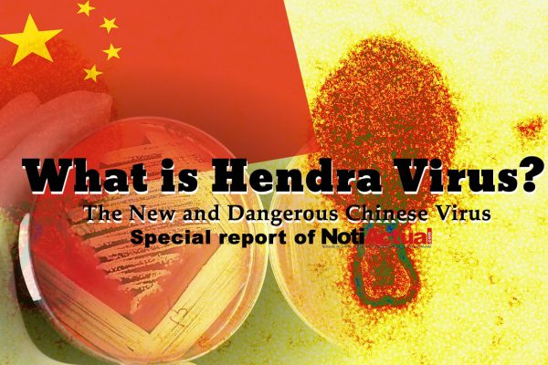 What is Hendra Virus