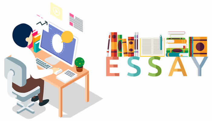 Write My Essay Online